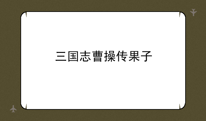 三国志曹操传果子