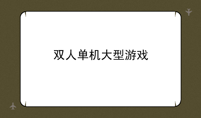 双人单机大型游戏