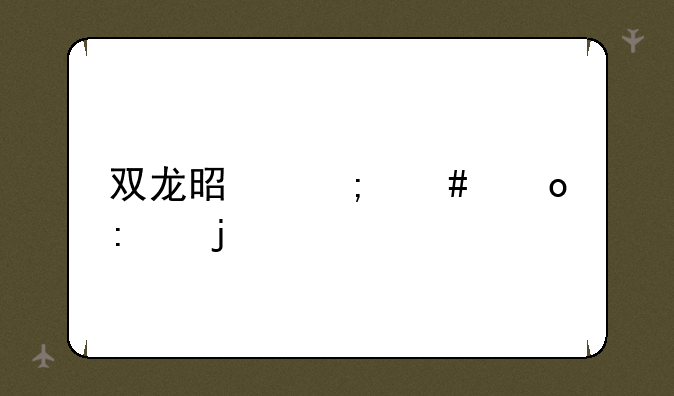双龙是怎么进去的