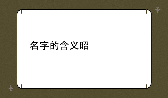 名字的含义是什么