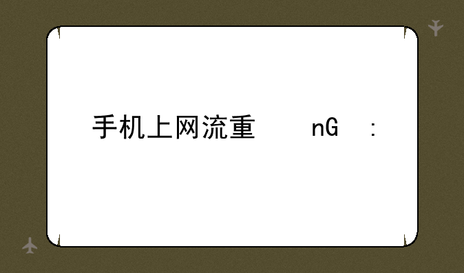 手机上网流量监控