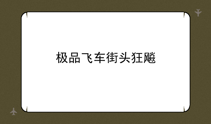 极品飞车街头狂飚
