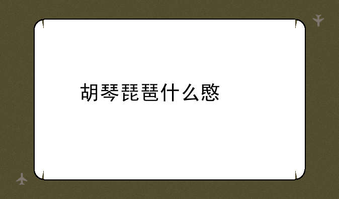 胡琴琵琶什么意思