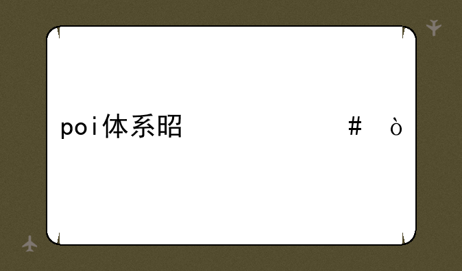 poi体系是什么？