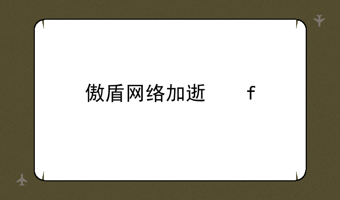 傲盾网络加速器