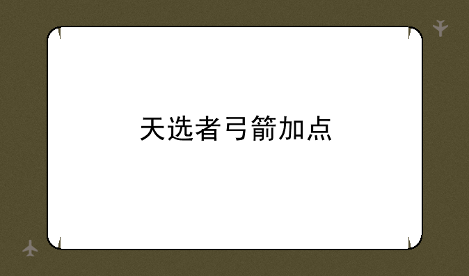 天选者弓箭加点