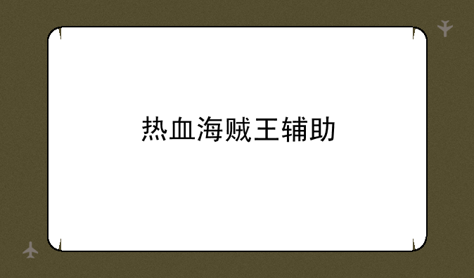 热血海贼王辅助