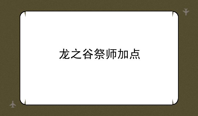 龙之谷祭师加点