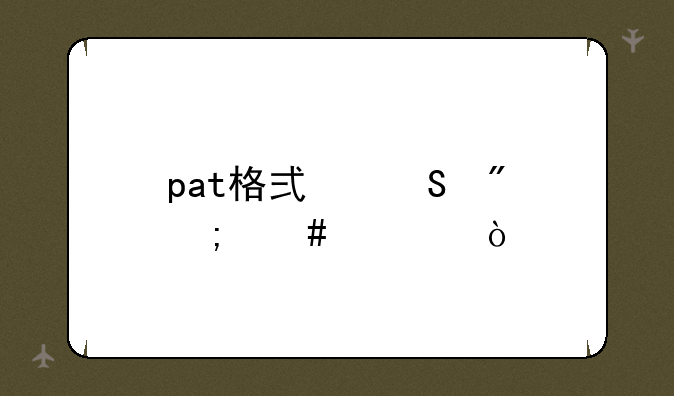 pat格式笔刷怎么装？