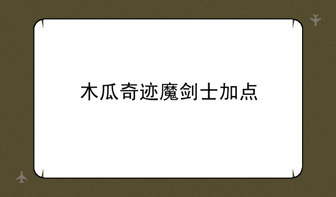 木瓜奇迹魔剑士加点