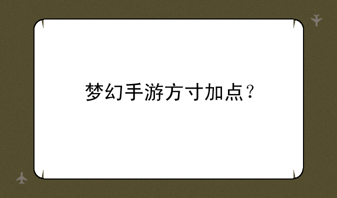 梦幻手游方寸加点？