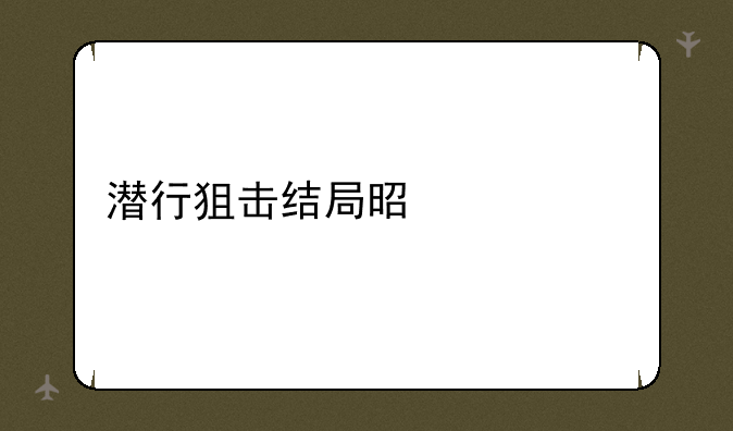潜行狙击结局是什么