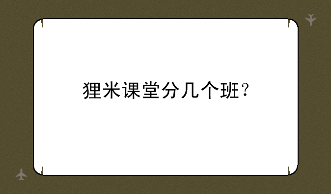 狸米课堂分几个班？