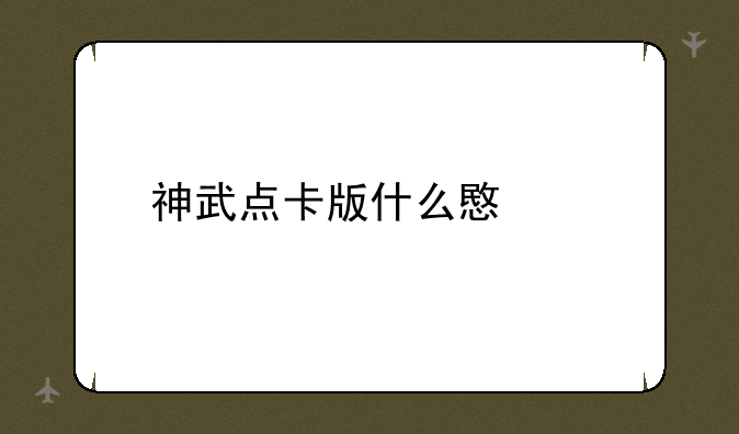 神武点卡版什么意思