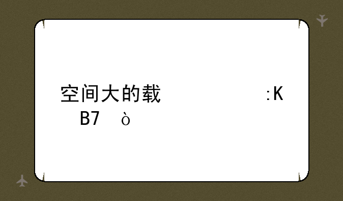 空间大的轿车排名？