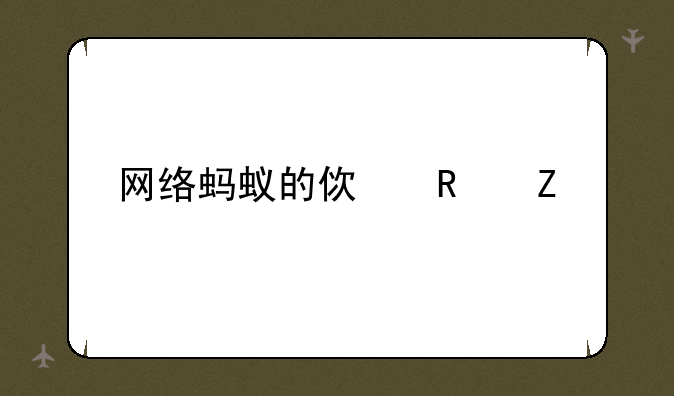 网络蚂蚁的使用方法