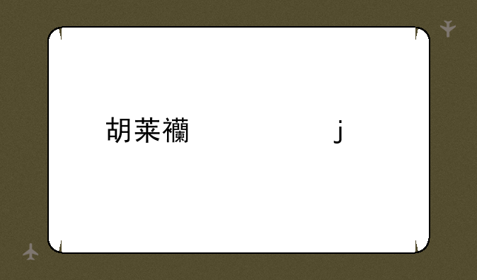 胡莱西游的特色玩法