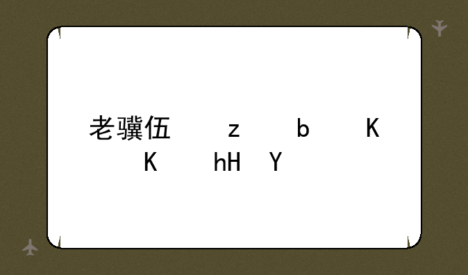 老骥伏枥是什么意思