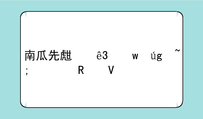 南瓜先生二九龙城寨攻略