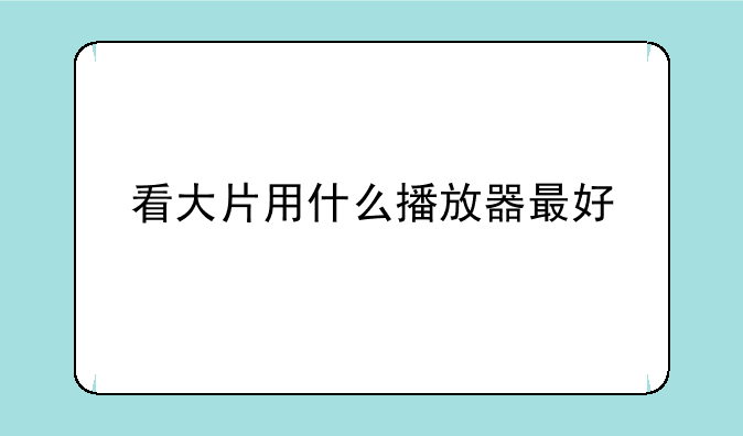 看大片用什么播放器最好