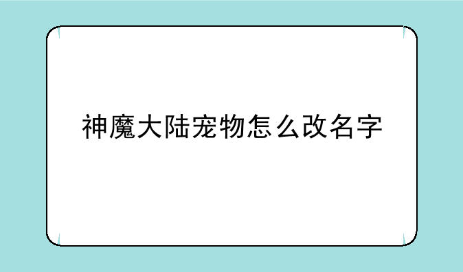 神魔大陆宠物怎么改名字
