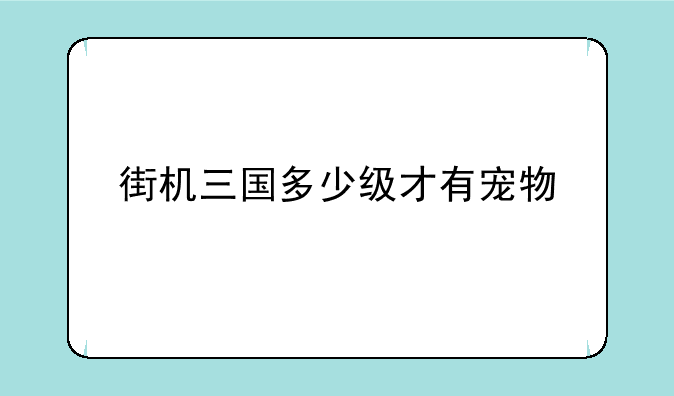 街机三国多少级才有宠物
