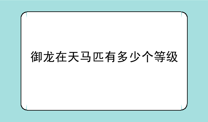 御龙在天马匹有多少个等级