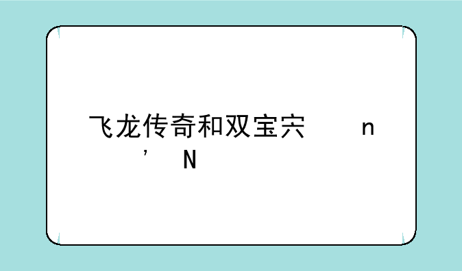 飞龙传奇和双宝宏图选哪款