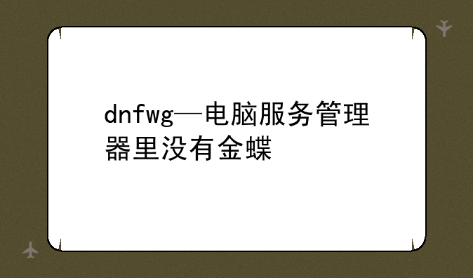 dnfwg—电脑服务管理器里没有金蝶