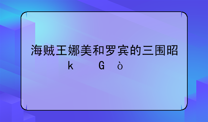 海贼王娜美和罗宾的三围是多少？