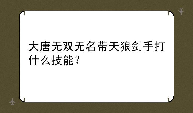 大唐无双无名带天狼剑手打什么技能？