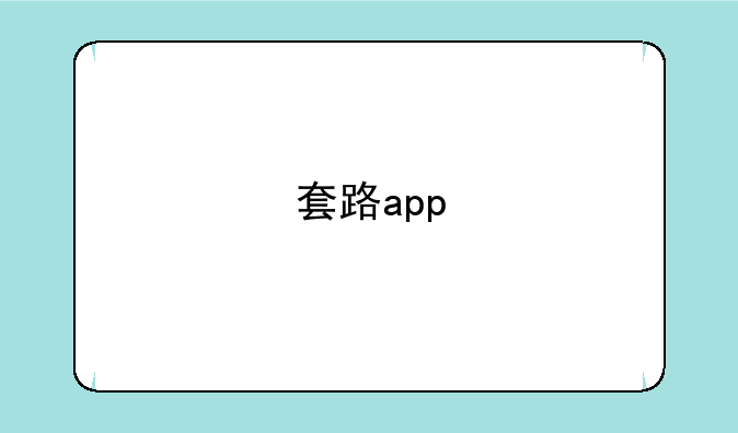 套路app