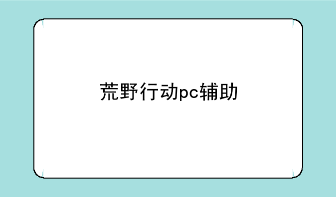 荒野行动pc辅助